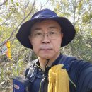 버스정류장 06-157 | 봉대지맥 제2구간 연육교에서 점암선착장까지 산행후기