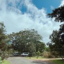 쇼어컴퍼니 이미지