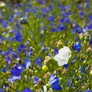 덕두원길 이미지