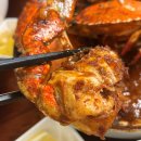 하우하우안산 네이버블로그