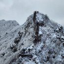 남덕유산(南德裕山 1,507m) : 영각 - 남덕유 - 월성치(월성재) - 황점 이미지