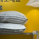 브레드럽 이미지