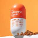 마이댕댕 - 세종특별자치시 대평로 80 | 강아지 눈물 영양제 뉴트리댕댕 급여 후기｜입 짧은 별이도 잘 먹었어요