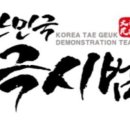 대한민국 태극시범단 이미지