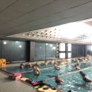 평택실내수영장 이미지