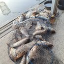 대박낚시터 이미지