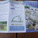 일출식당 이미지