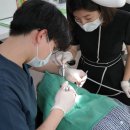 바른임플러스치과의원 이미지