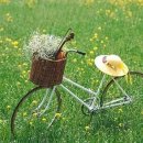 힐링 꽃꽃이 이미지