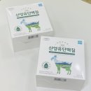 에버그린 오리진초유 산양유 단백질 단백질보충제 추천