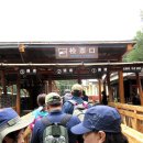 백두산 여행 ㅡ 서파천지ㅡ 고산 화원 ㅡ 왕지 산행 ㅡ 이미지