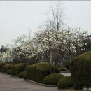 대학교 익산캠퍼스 이미지