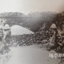 옵데강 제주투데이