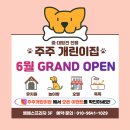 주주개린이집 네이버블로그