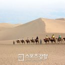 (주)동방여행사 이미지