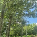 남평경로당 이미지