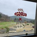 포천 애견 카페 대형놀이터에 수제버거까지 완벽한 599버거