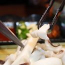 조가네 갑오징어 이미지