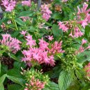 토박이시골집 이미지