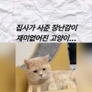 사다 이미지