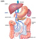 한국 사람만 숙취 심한 이유 이미지