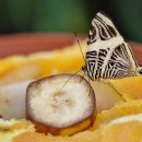 부산과학기술대학교 이미지