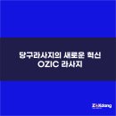 당구장 운영비를 확 줄여줍니다. 작당이 만든 새로운 당구라사지 OZIC.