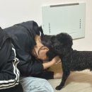 진젤네일 | 2025후기❤️‍🔥