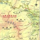 영일약국 이미지