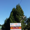 경춘선 자전거도로1 이미지
