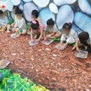 포곡어린이집 이미지