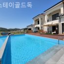 더스테이 골드독 이미지