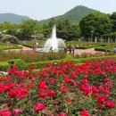 장미원 이미지