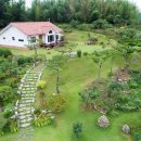 꼼지의 작은세상 이미지