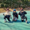 비연무예태권도 이미지