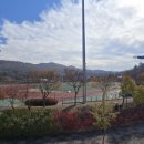 계룡숲작은도서관 이미지