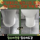 안남로206번길 | 변기 테두리 셀프시공 후기 백시멘트 줄눈 전문가에게 맡겨야 하는 이유!