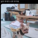 겨울과 봄의 경계선