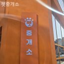 펫 중개소 이미지