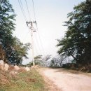 빼빼만덕 이미지