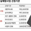강봉윤약국 이미지