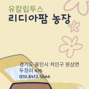 자학농장 이미지