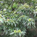 하얀파크 이미지