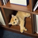 진아세탁 | Selin monthly diary ; 5월은 나의 달 우리의 달 가족의 달