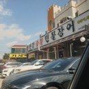 금남리민물장어