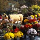 동두천-007 이미지