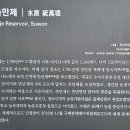 수원-1246 이미지