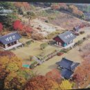 신안사 이미지