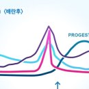 참행복한 약국 이미지