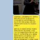 소피아플룻수리